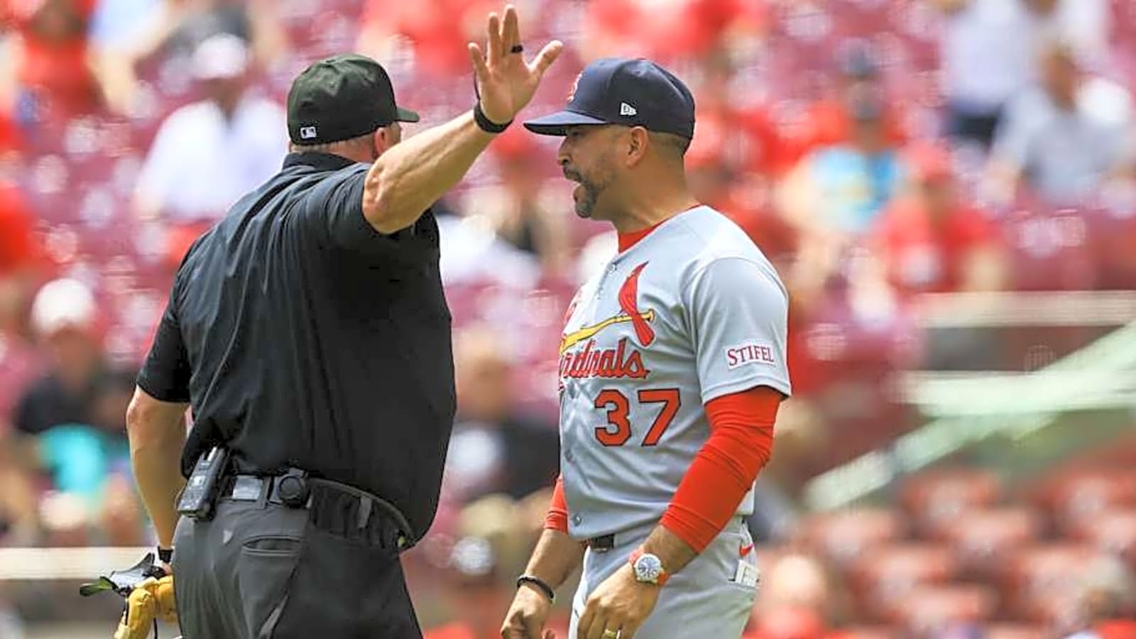 Oli Marmol Takes Hard Stance Following Cardinals&#39; Series Loss To Tigers
