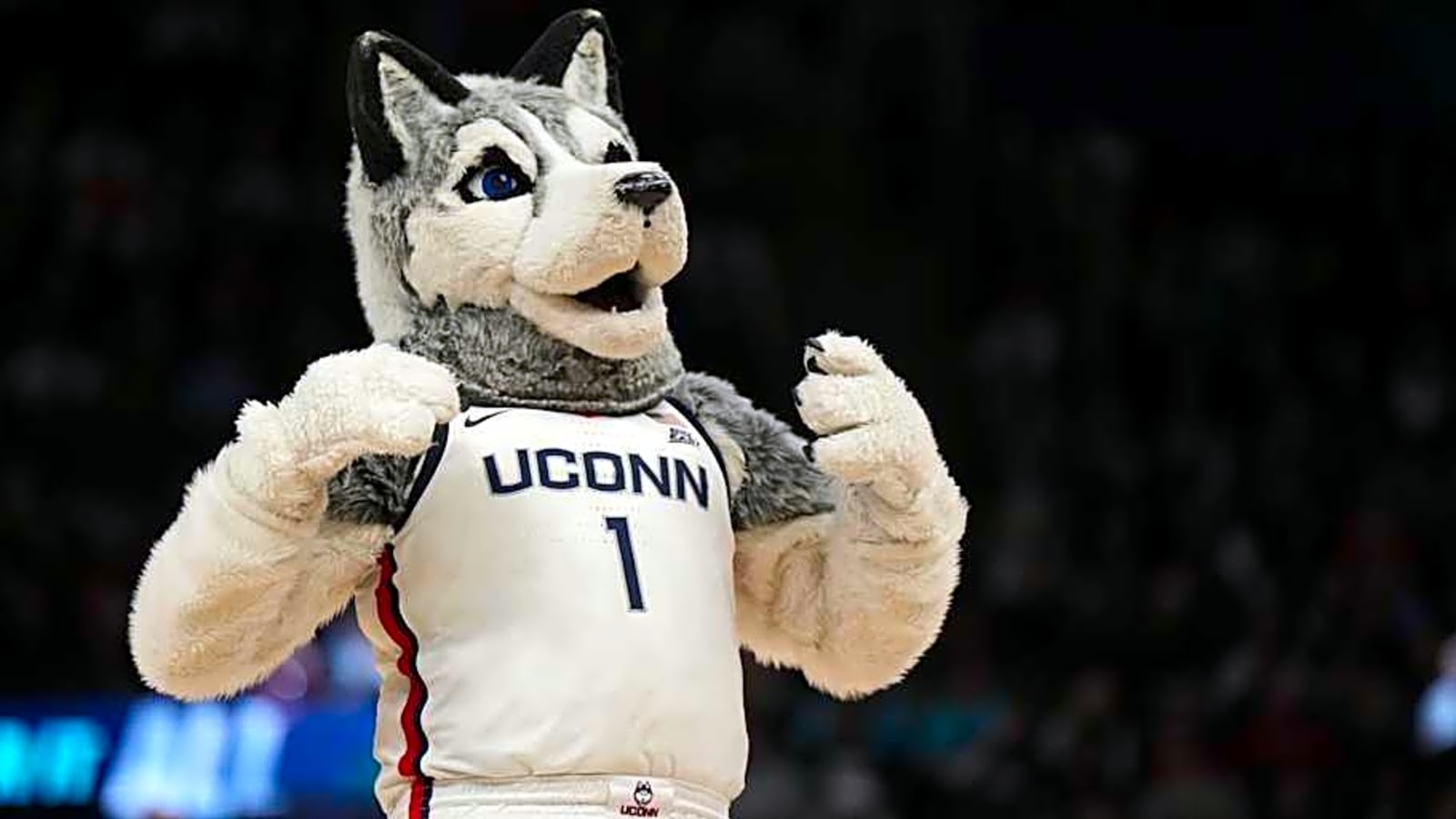 This Newcomer Could Have Massive Impact for UConn Huskies