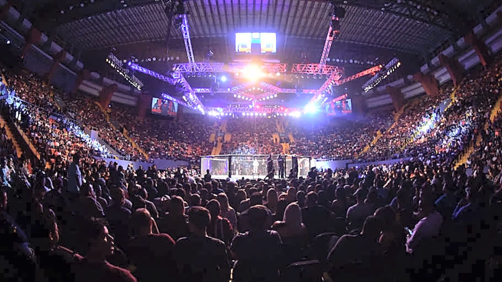 UFC fighter quits job after amazing knockout debut