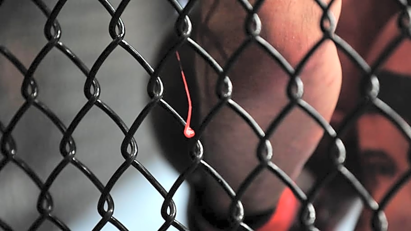 UFC fighter arrested on charges including robbery and battery