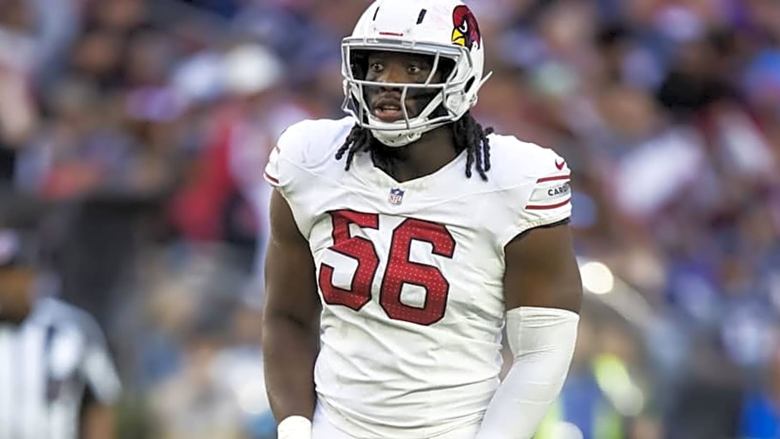 Mizzou Alumni Darius Robinson Expecting &#39;Huge Year 2 Jump&#39; with Cardinals
