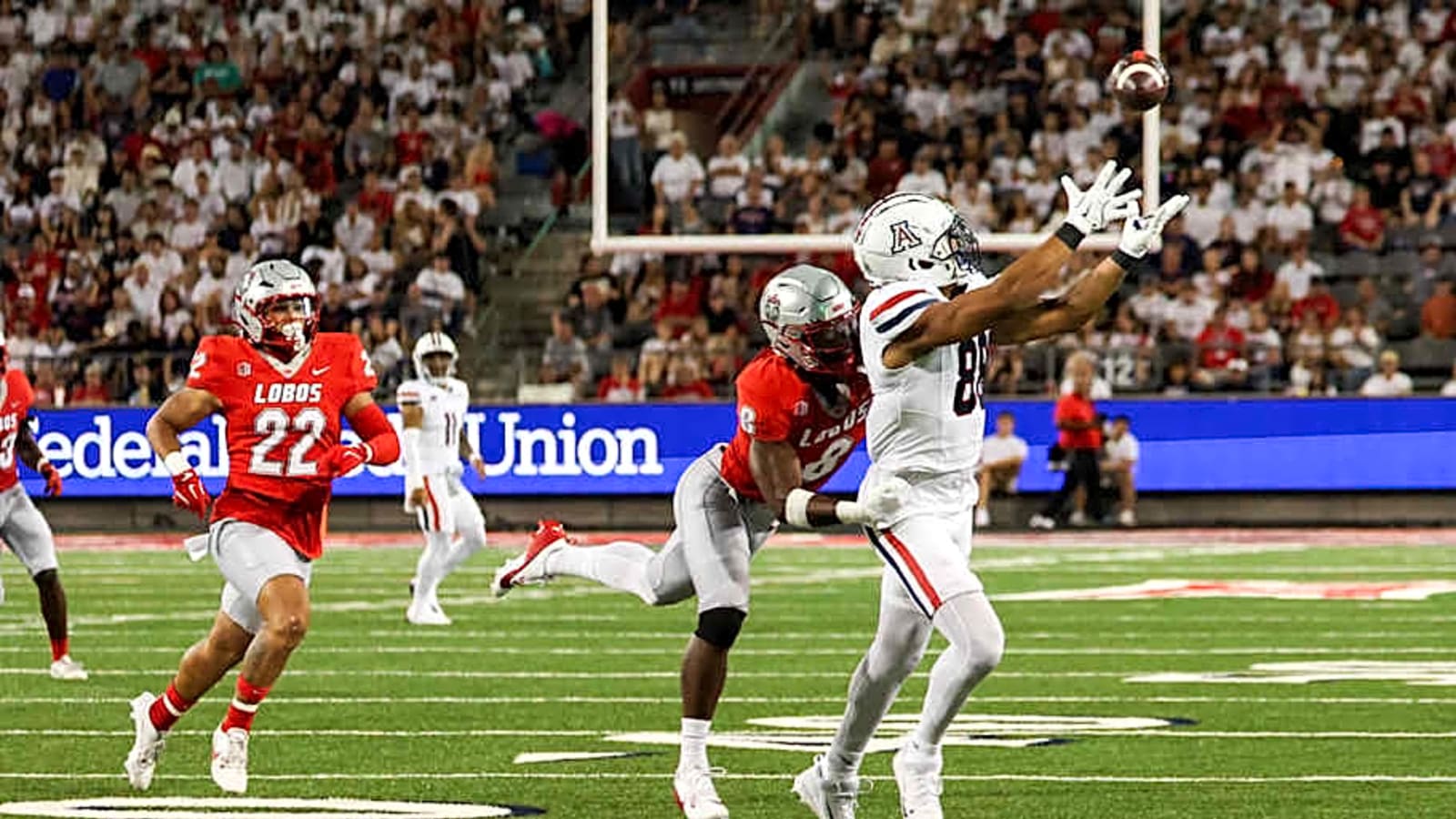Arizona Wildcats 2025 Tight End Preview