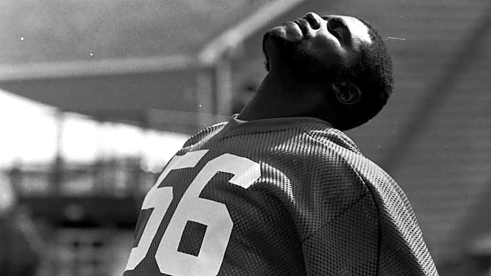Number 56 and the New York Giants Player Who Wore It Best