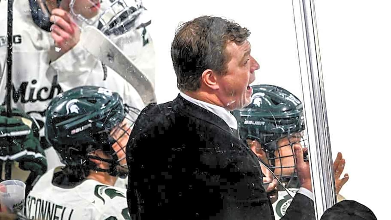 Spartans Land F From Sweden, NHL Legacy
