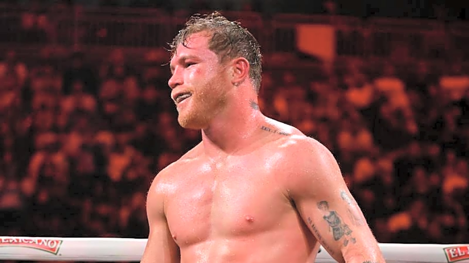 Canelo Alvarez Warned Against Making Important Mistake Against Terence Crawford