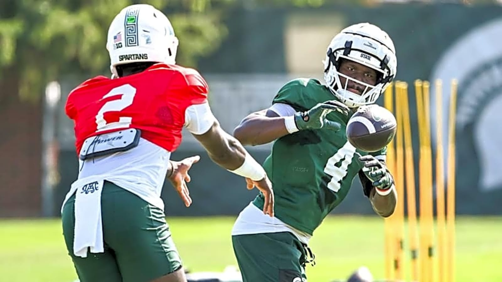 Projecting the MSU RB Carry Shares
