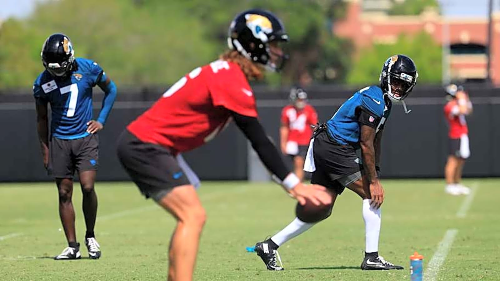 5 Observations on Jaguars OTA No. 10
