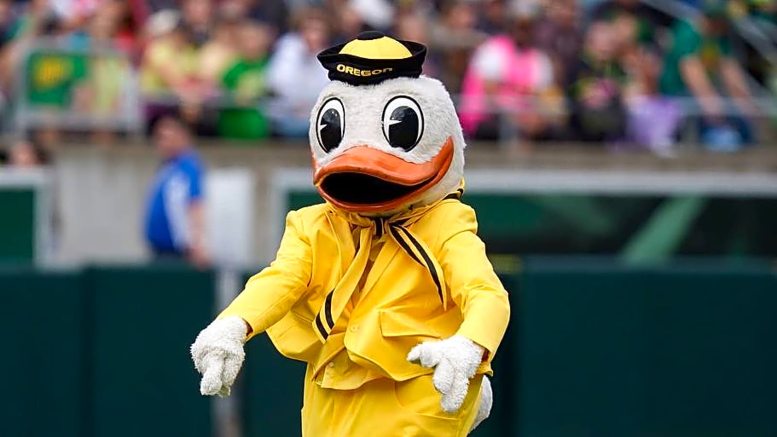 Savannah Bananas Leave Heartfelt Message Following Autzen Stadium Series