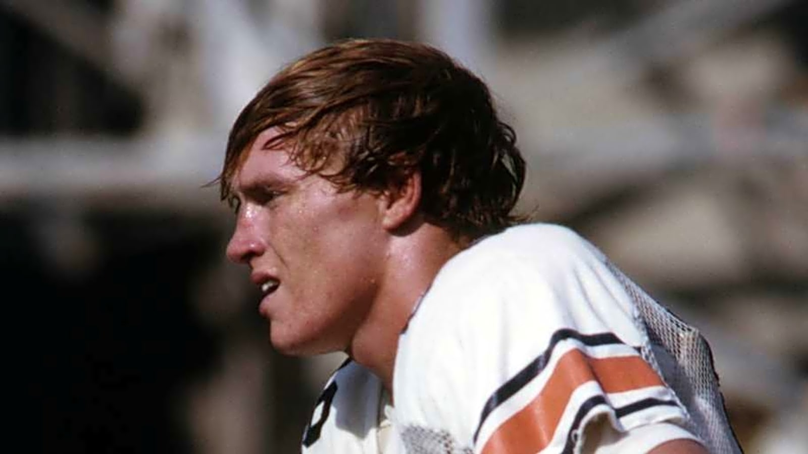 Countdown to Auburn vs. Baylor - No. 88 Terry Beasley