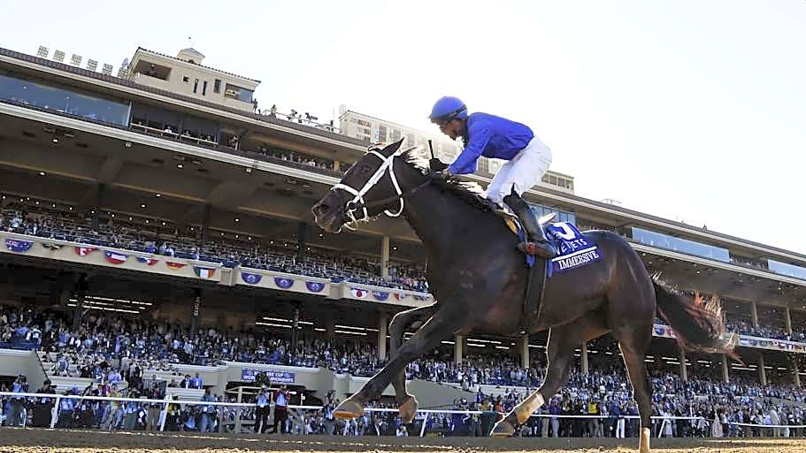 Immersive Returns to Saratoga Seeking Redemption in Coaching Club American Oaks