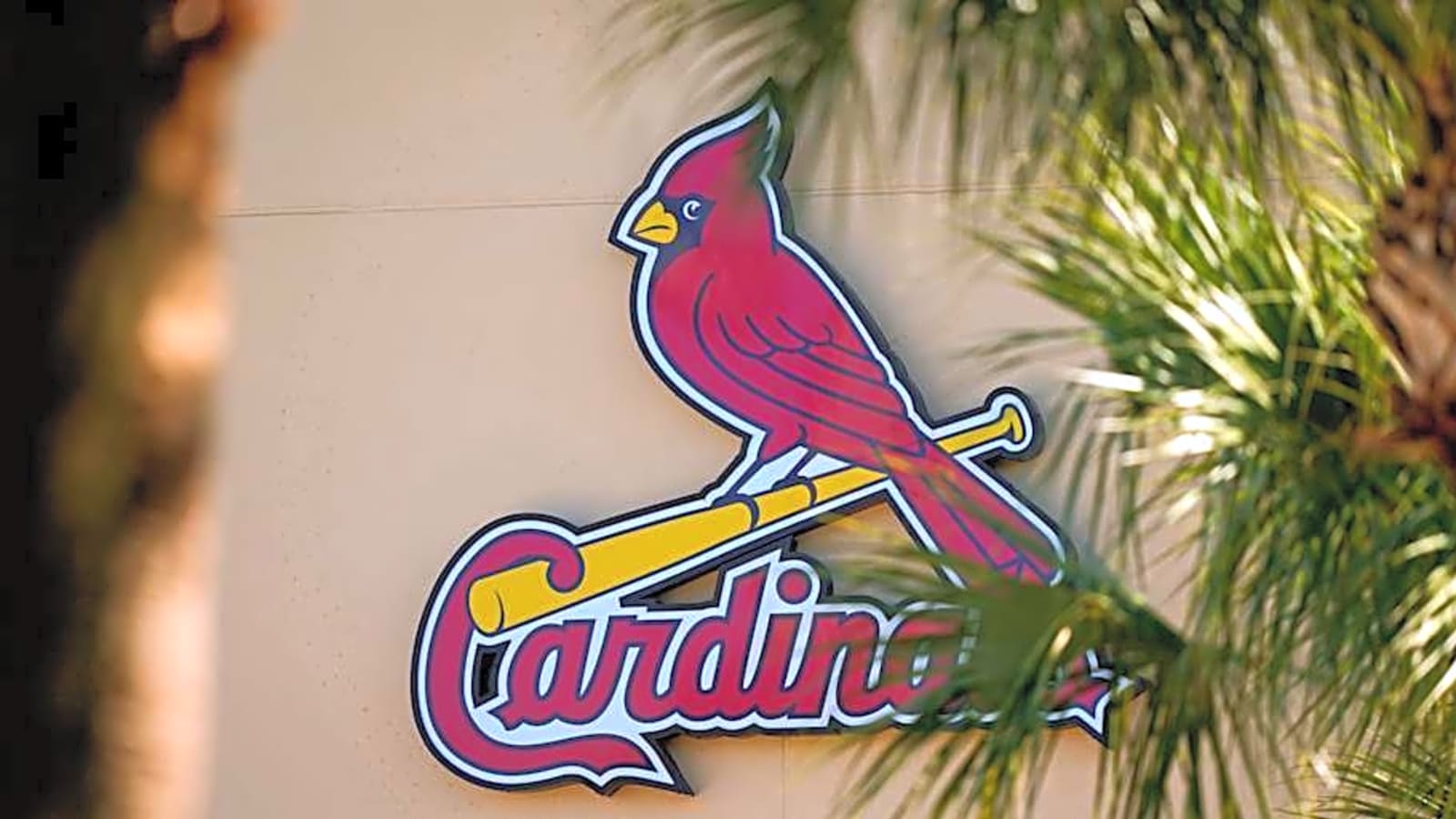 Cardinals Promote Phenom Thomas Saggese, Place Rising Star On IL
