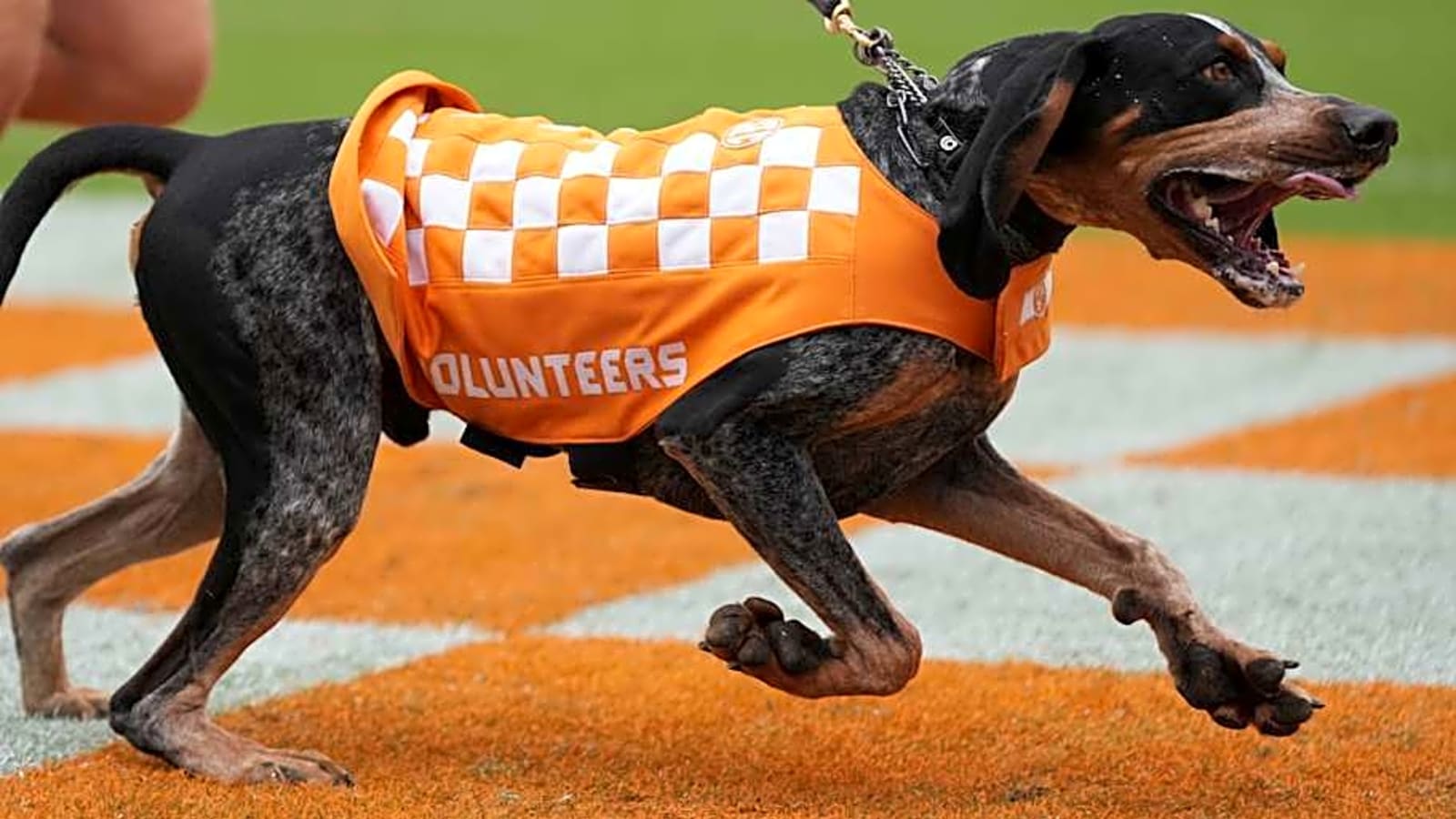Tennessee Volunteers Sports Schedule (10/05/2025)