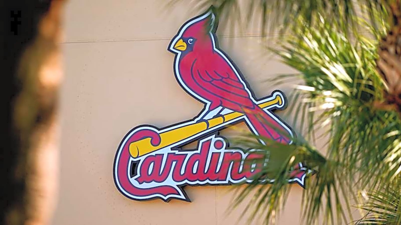 Cardinals Announce Signing Of 4-Year Veteran Pitcher