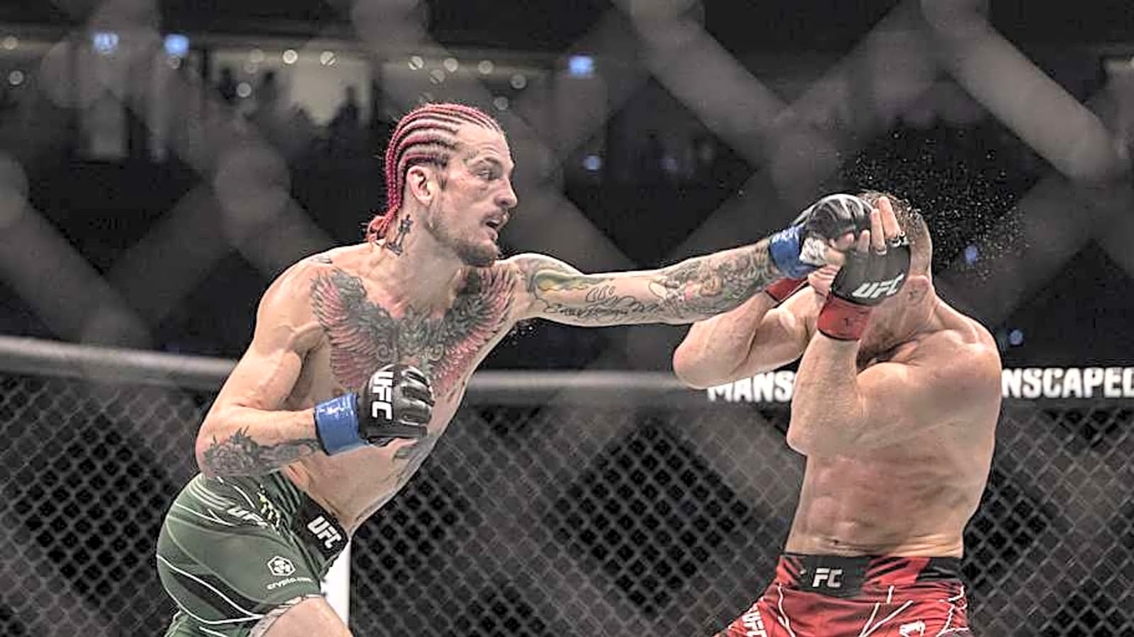 UFC 316&#39;s poster does not have a big fight feel even with Sean O&#39;Malley