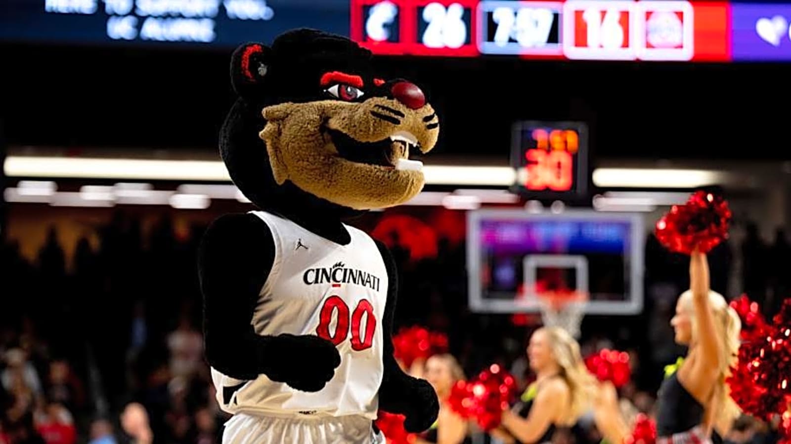 New Bearcats Basketball Players Meet With Media Amidst Summer Workouts