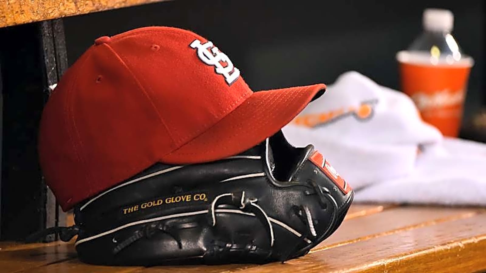 Cardinals Slumping Star Expected To Return Vs. White Sox