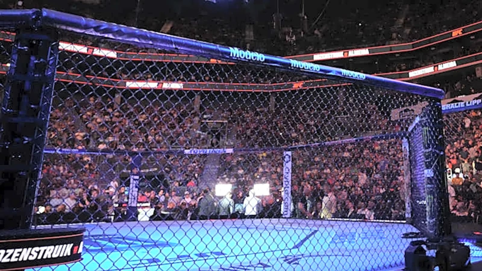 UFC announces fan-favorite veteran fight for UFC 316