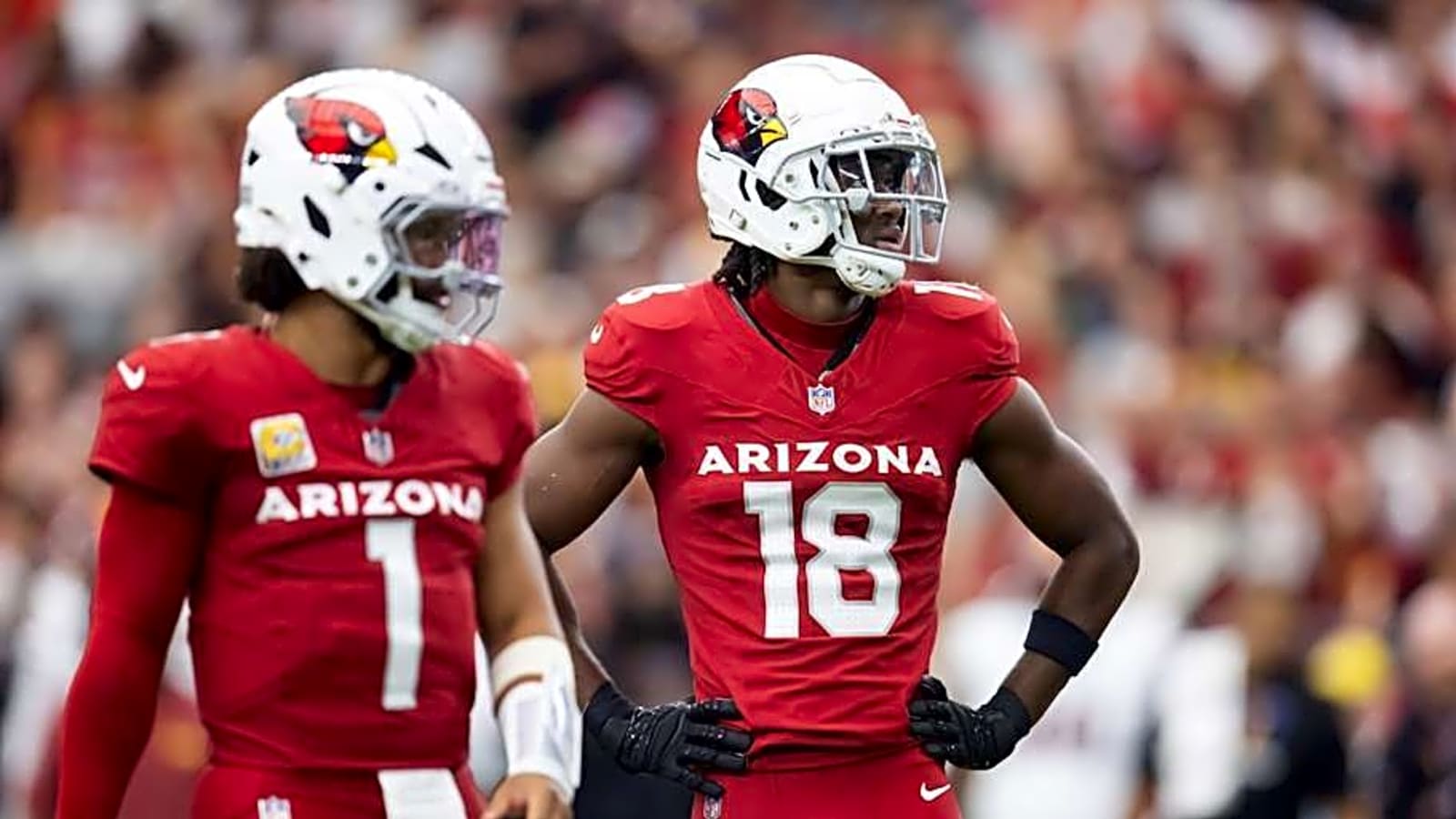 Arizona Cardinals: Wasted Potential or Playoff Hopefuls?