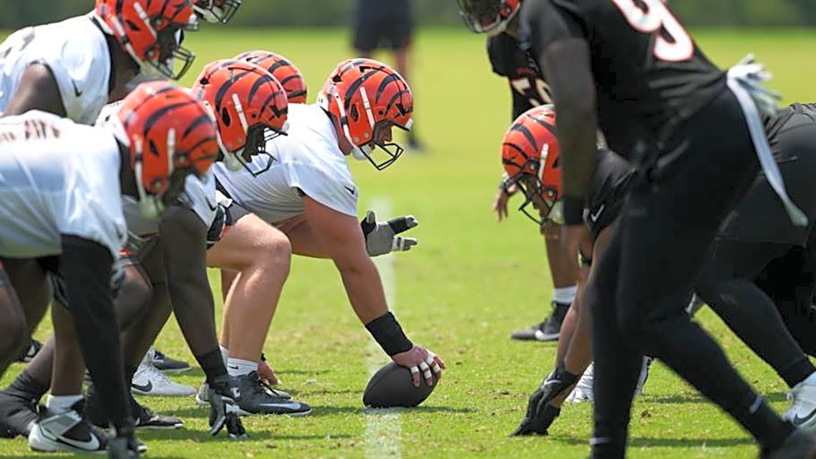 Bengals Widely Expected To Field One of NFL&#39;s Worst Offensive Lines