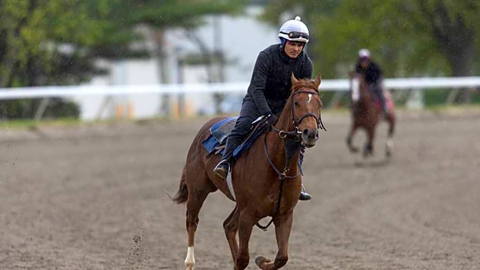 Strangles Outbreak at Saratoga Triggers Weekend Scratches at Monmouth Park