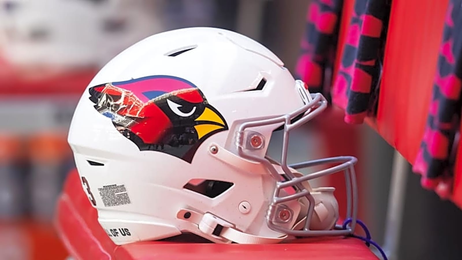 Arizona Cardinals to Host Special Training Camp Practice