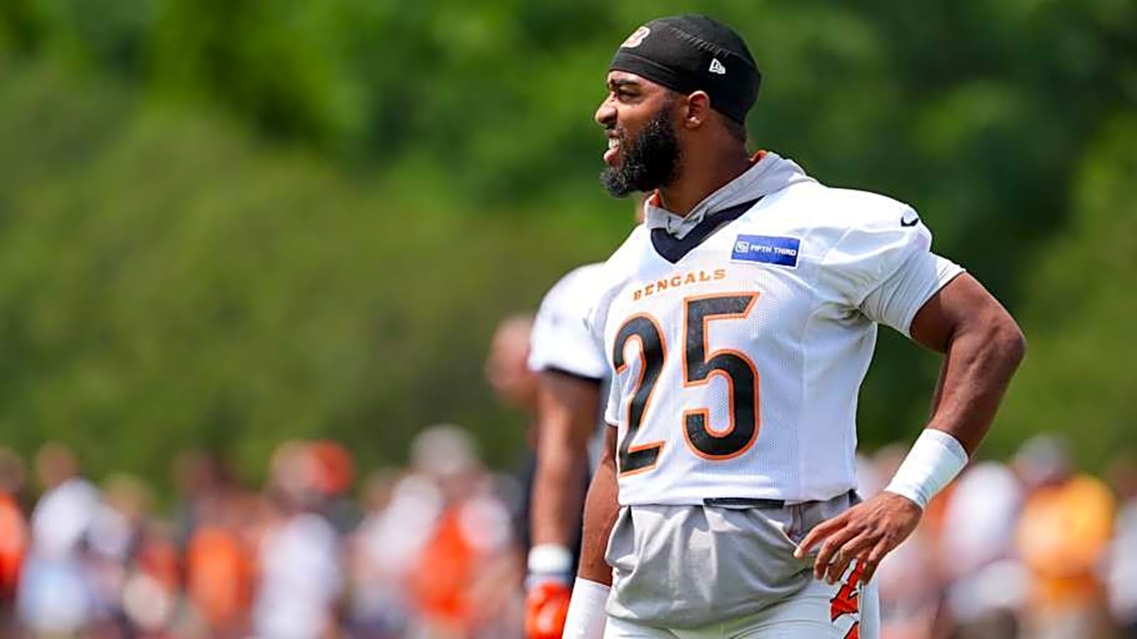 Texans Showing Interest in Former Bengals RB