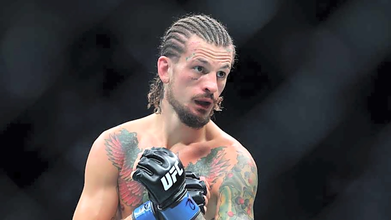 Sean O&#39;Malley called out for grudge match by ex-champ following UFC 316 loss