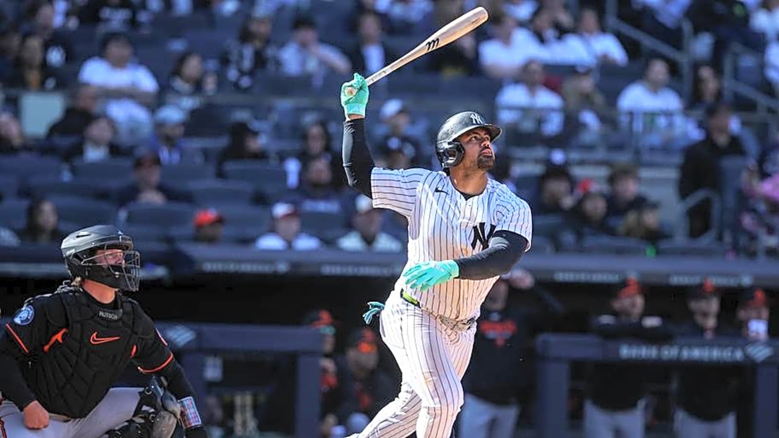 Jasson Dominguez Injury Could Open Door for Other Top Yankees Prospect