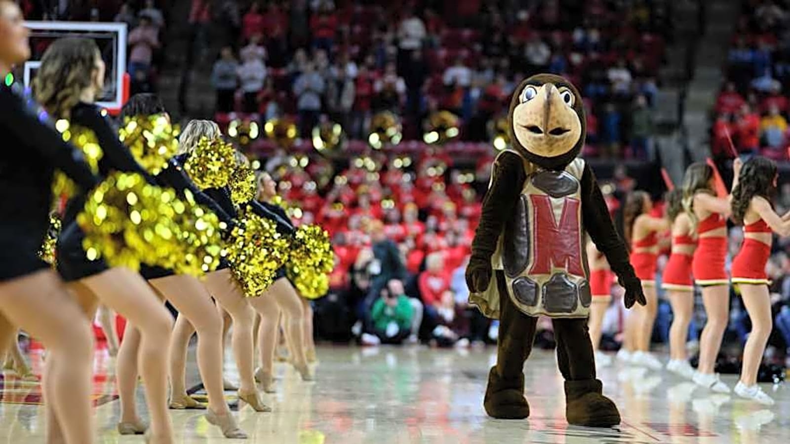 Former Indiana Guard Reveals What Makes Maryland’s Home Court Different
