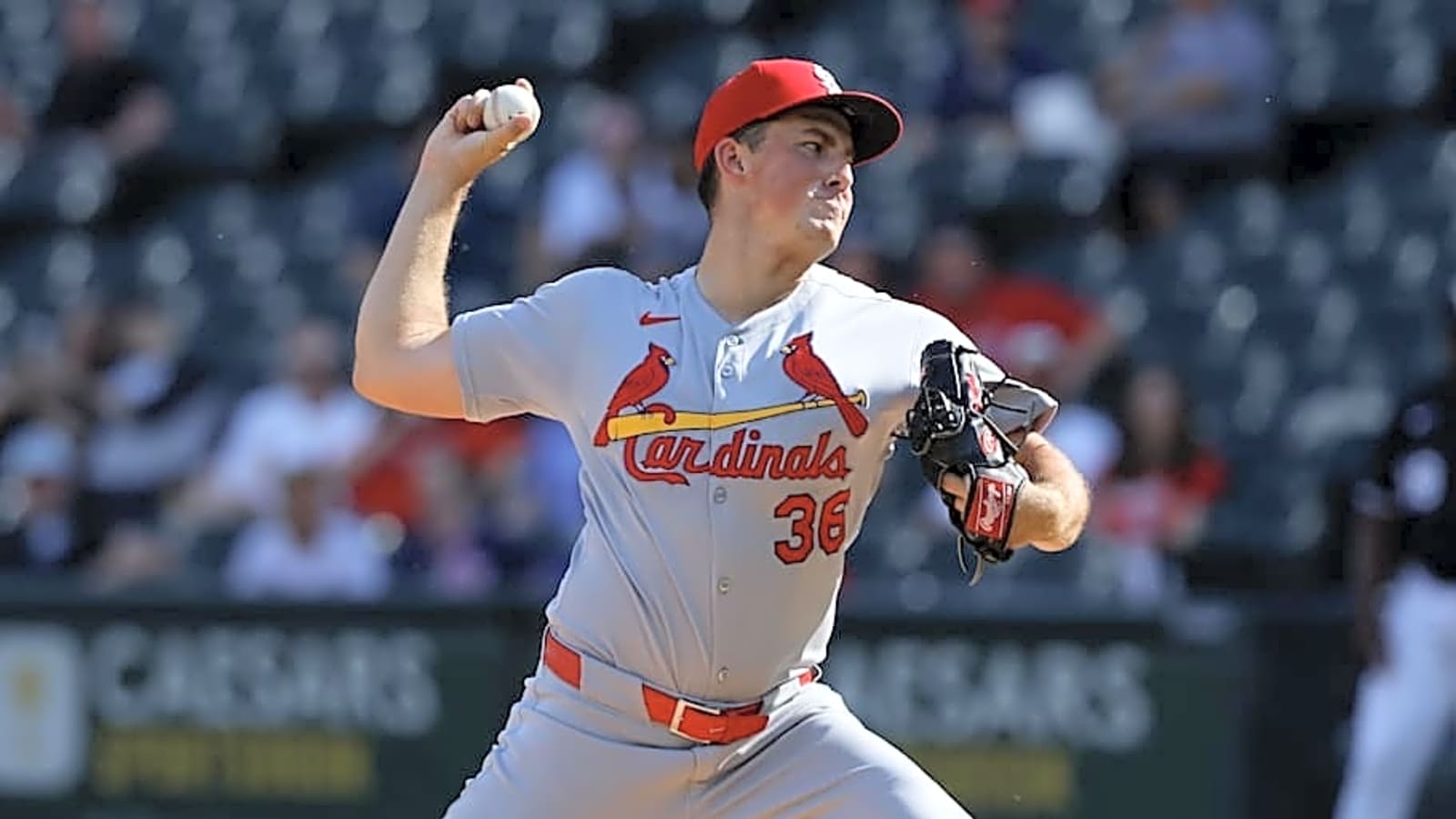 Cardinals Phenom Michael McGreevy Gets Ominous Update
