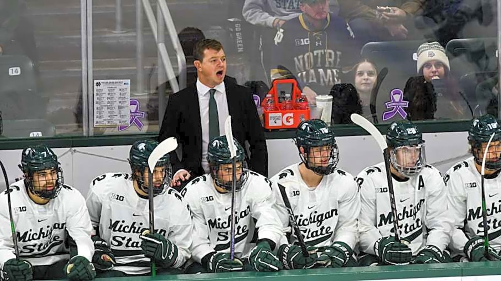 Three Spartans Earn All-American Honors