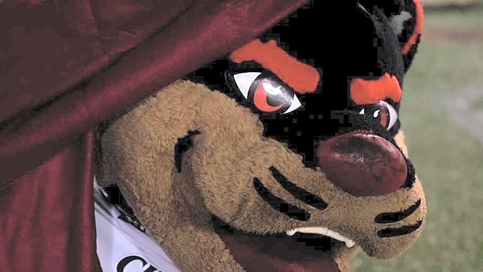 Look: Cincinnati Unveils Finished Sheakley Indoor Practice Facility and Performance Center