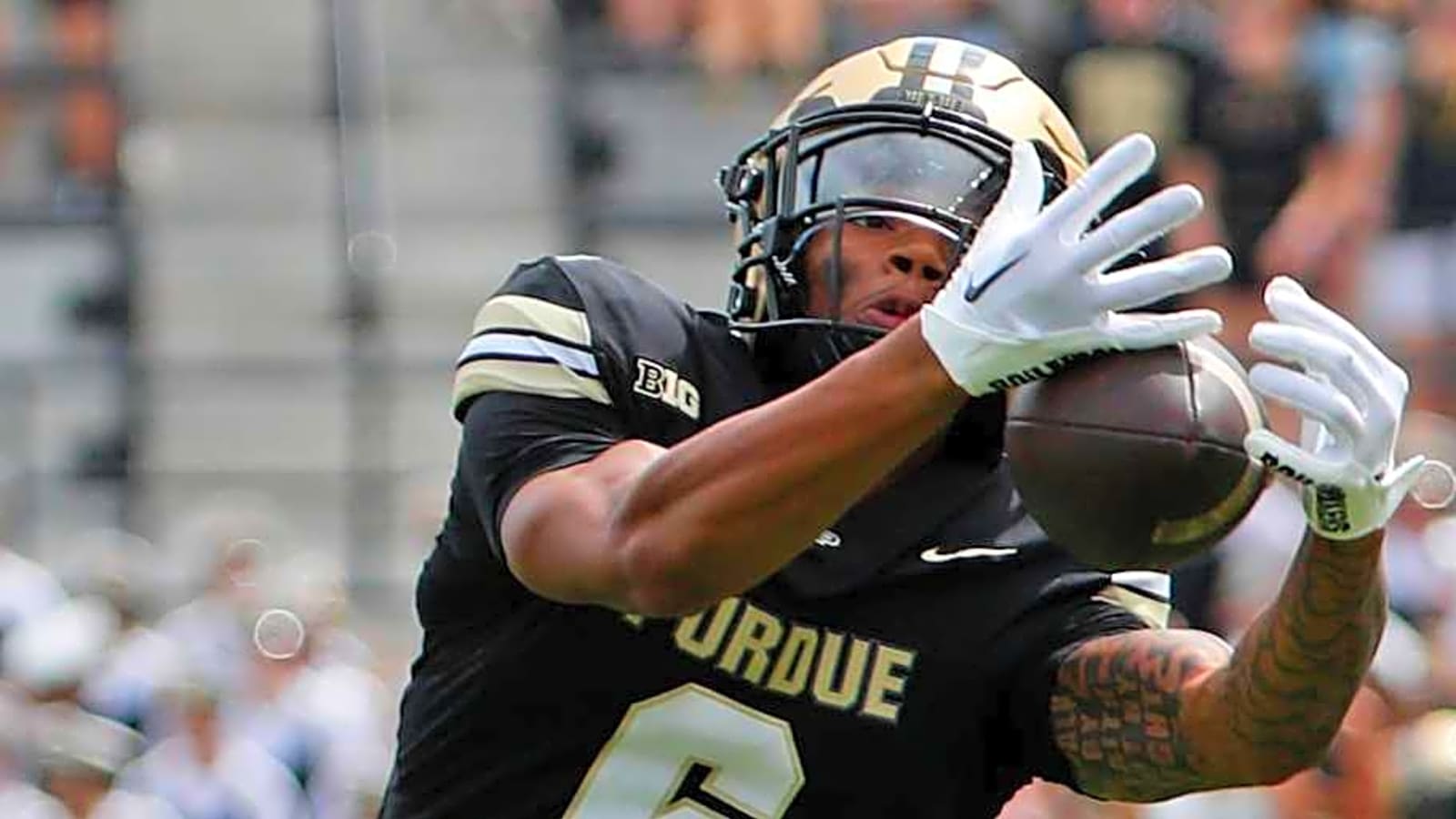 Where Every Purdue Football Transfer Departure Ended Up