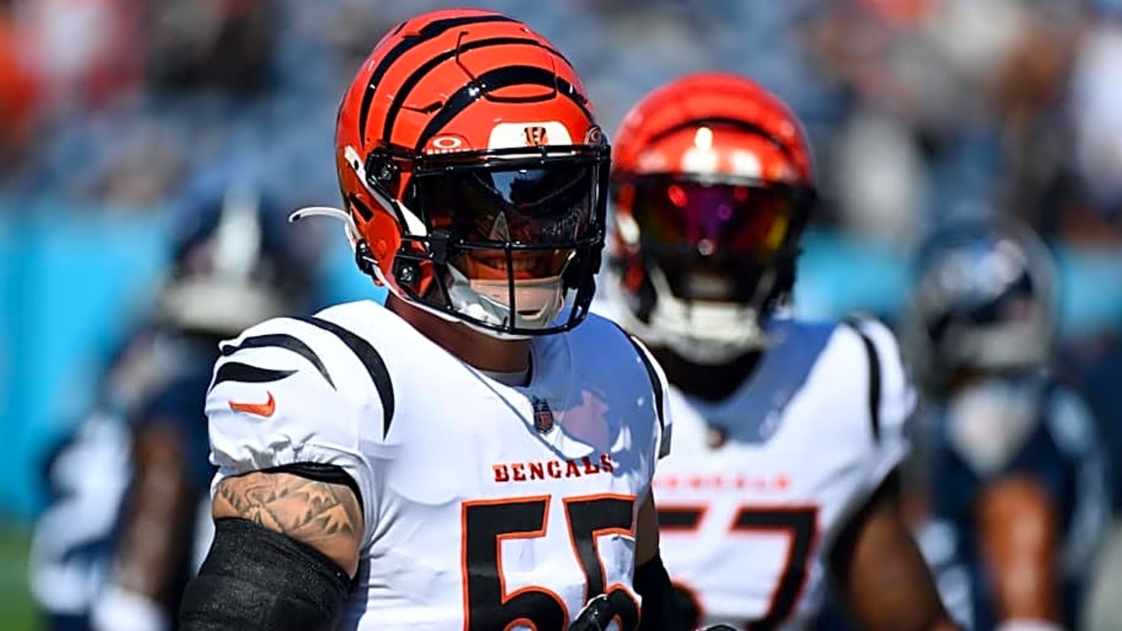 Cardinals Absolutely Should Sign Released Bengals LB