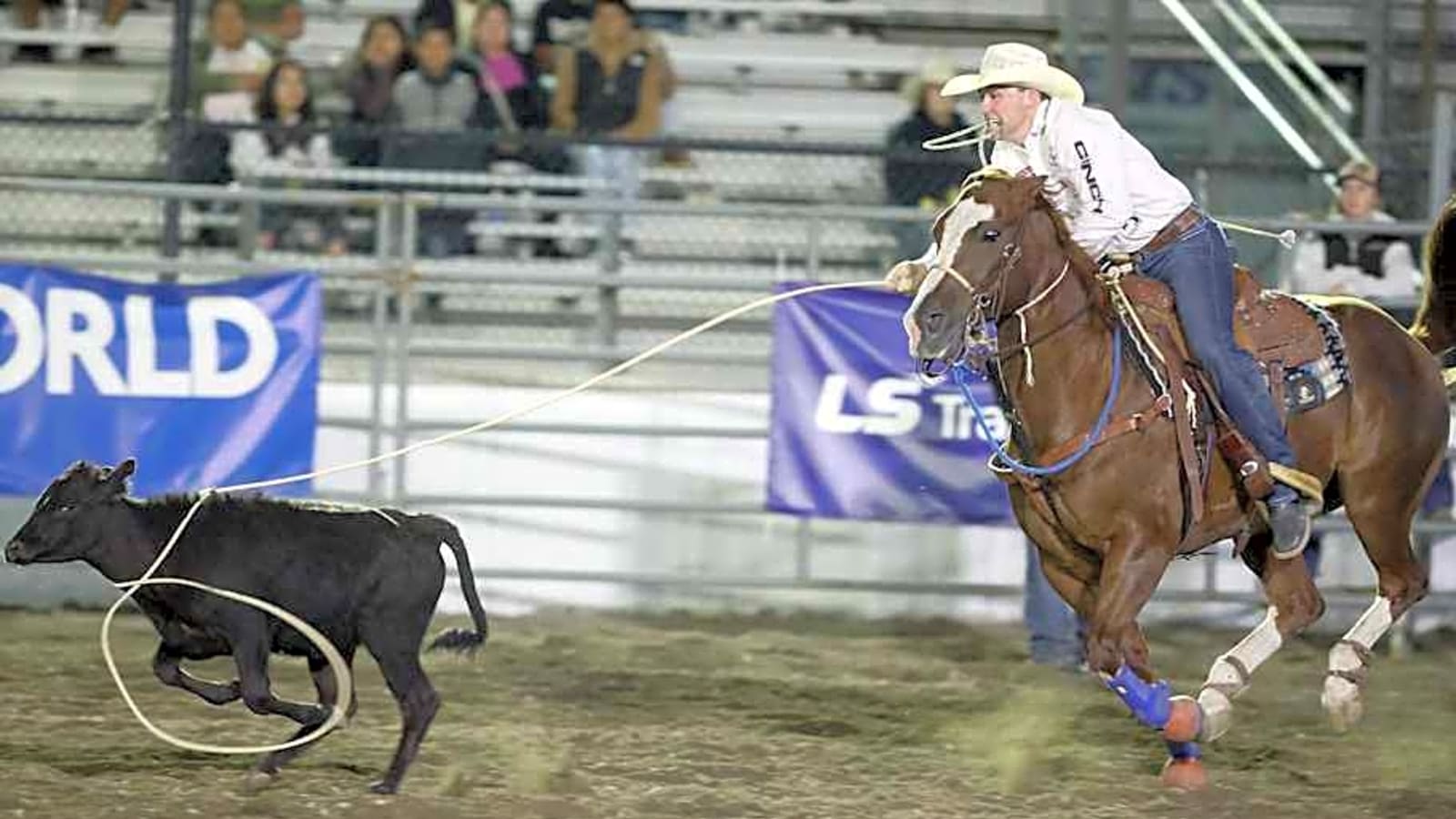 Riley Webb Strengthens World Title Campaign With Stellar Cowboy Christmas Run
