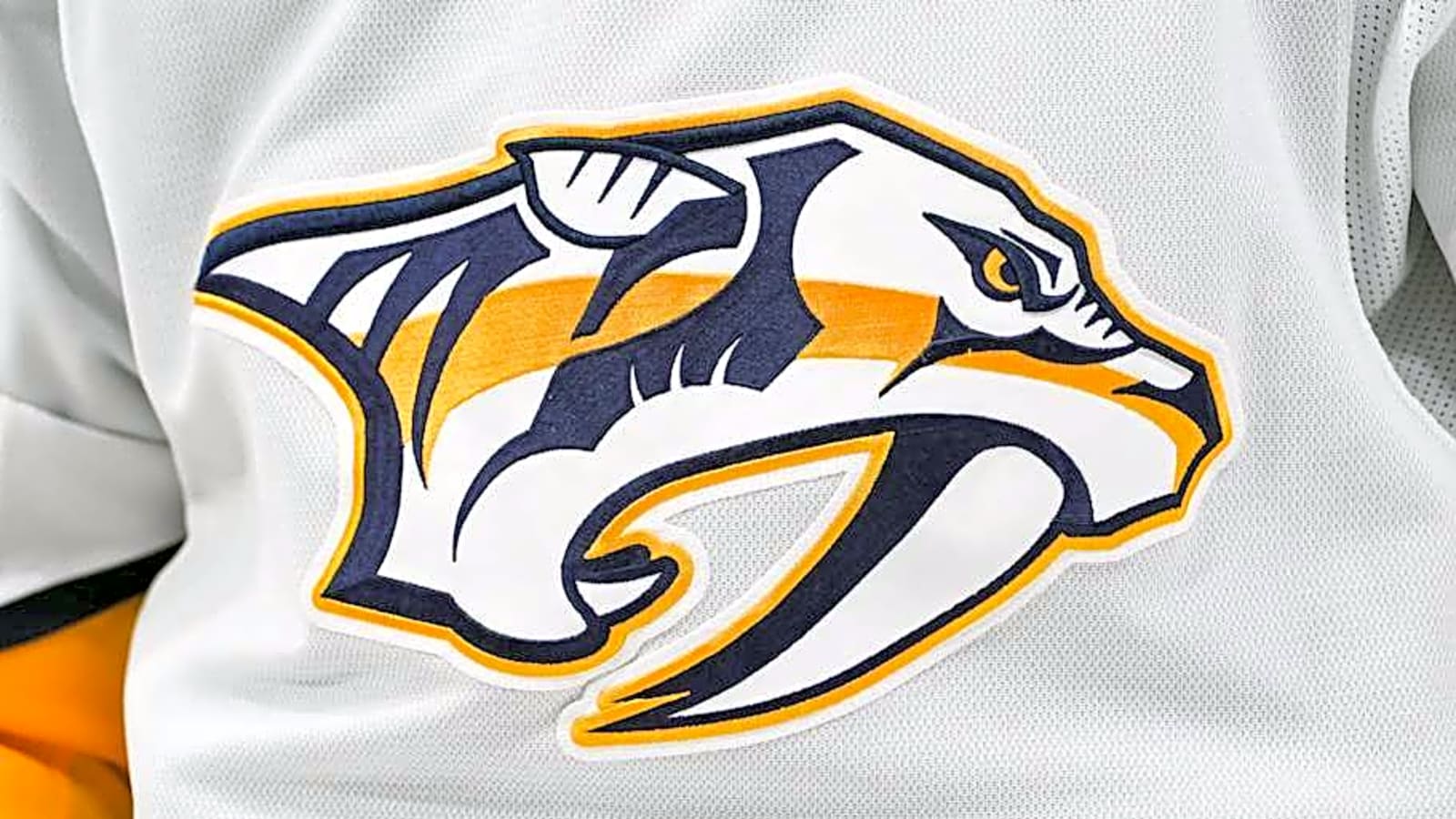 Predators Goalie Quickly Impressing at NCAA