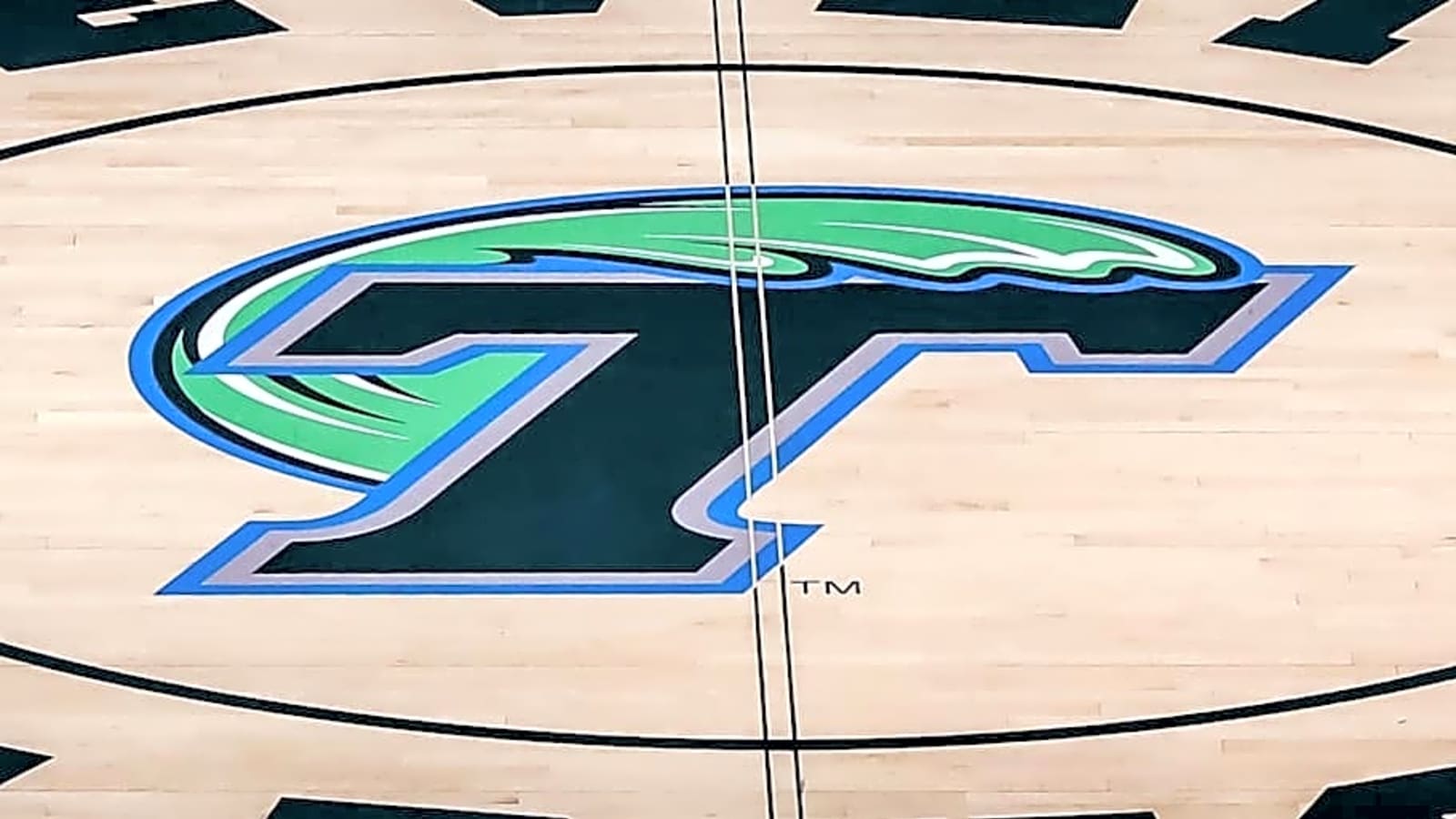 Tulane Volleyball Star Tea Juric Earns Place in Athletics Hall of Fame