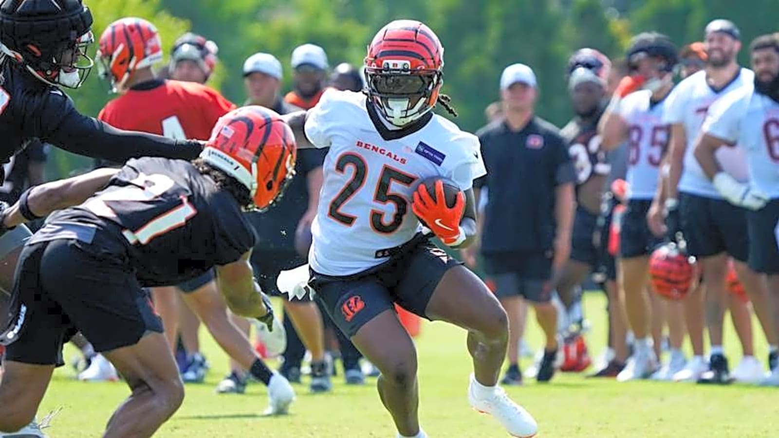 Taking Names and Kicking Grass, Bengals Rookie RB Tahj Brooks Reveling in Heavy Practice Workload