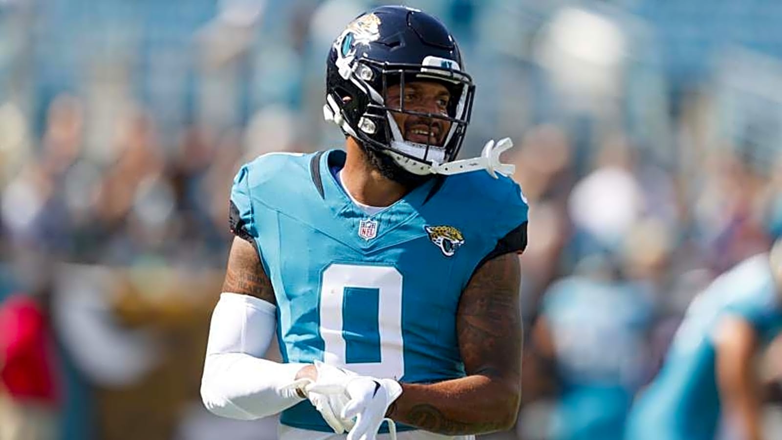 Should Cardinals Target Veteran WR?