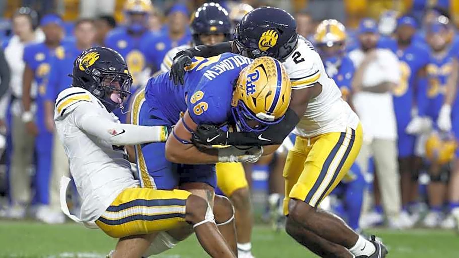 Vikings Place Former Pitt TE on PUP List