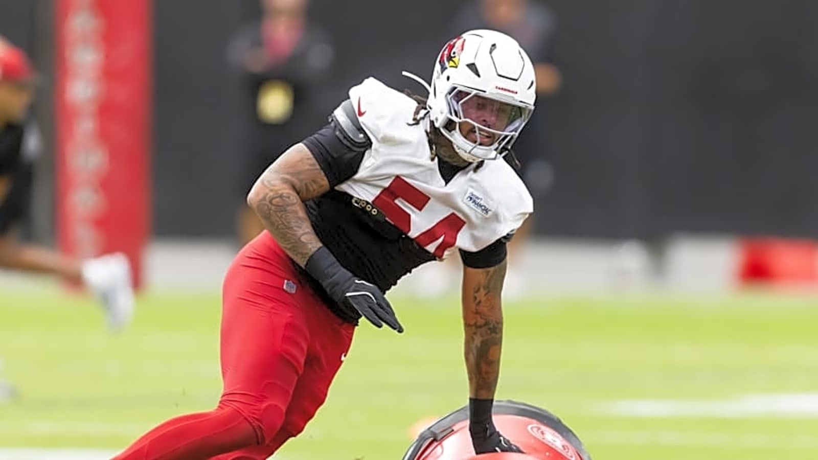 Texans Add Former Cardinals LB to Practice Squad