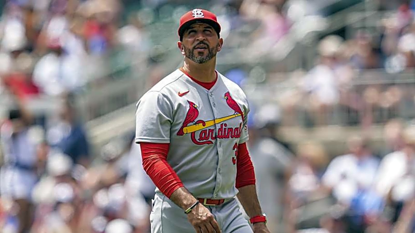 Cardinals&#39; Oli Marmol Praised: &#39;Not Talked About Nearly Enough&#39;