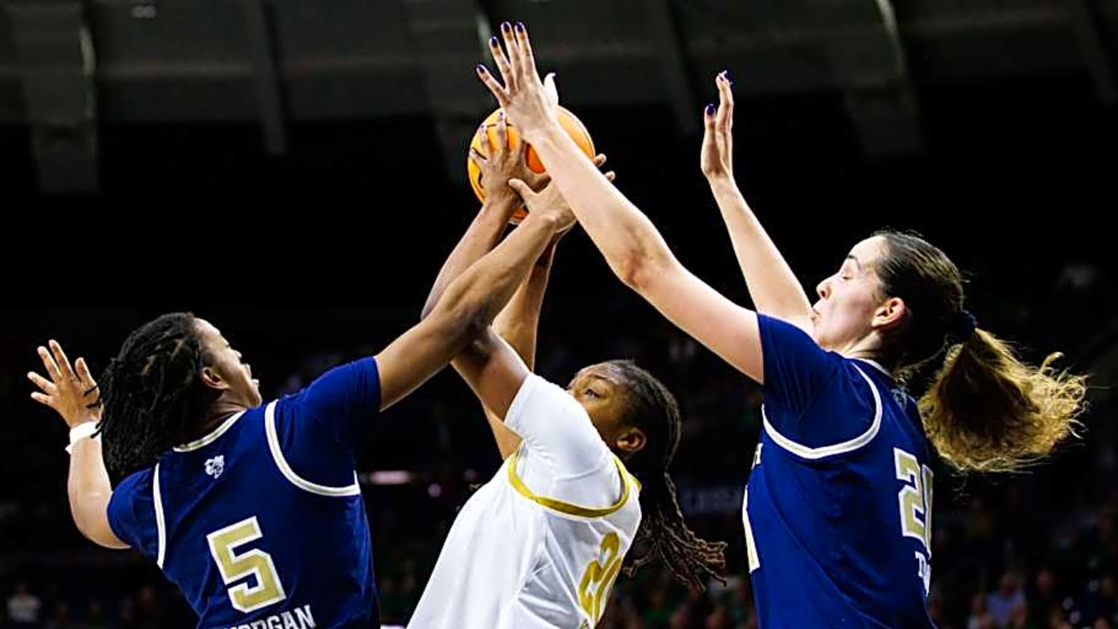 Georgia Tech Women&#39;s Basketball Has Been Active Under Newly Hired Coach Karen Blair