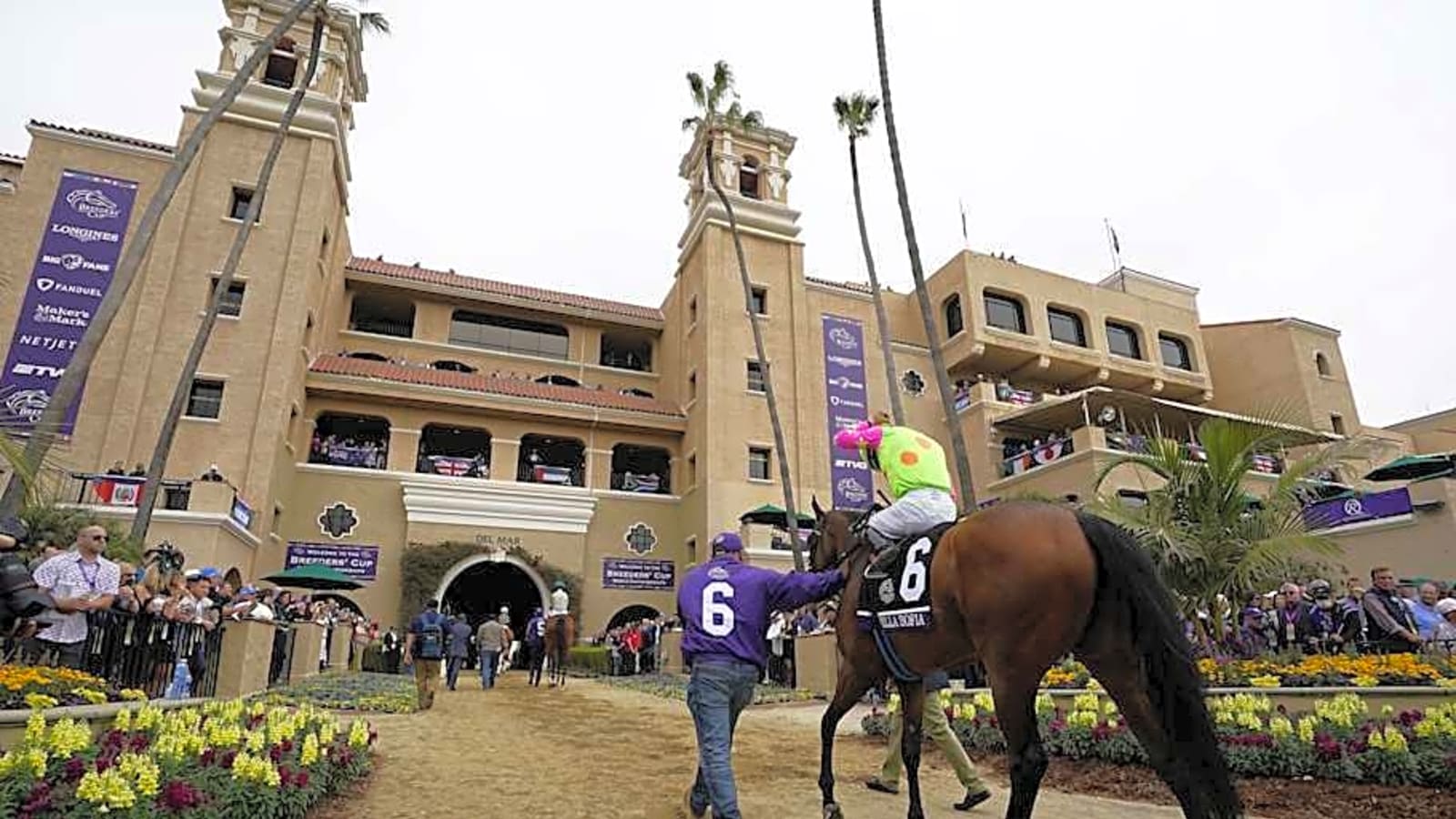 East Coast shipper Crazy Mason should get pace to chase in Bing Crosby