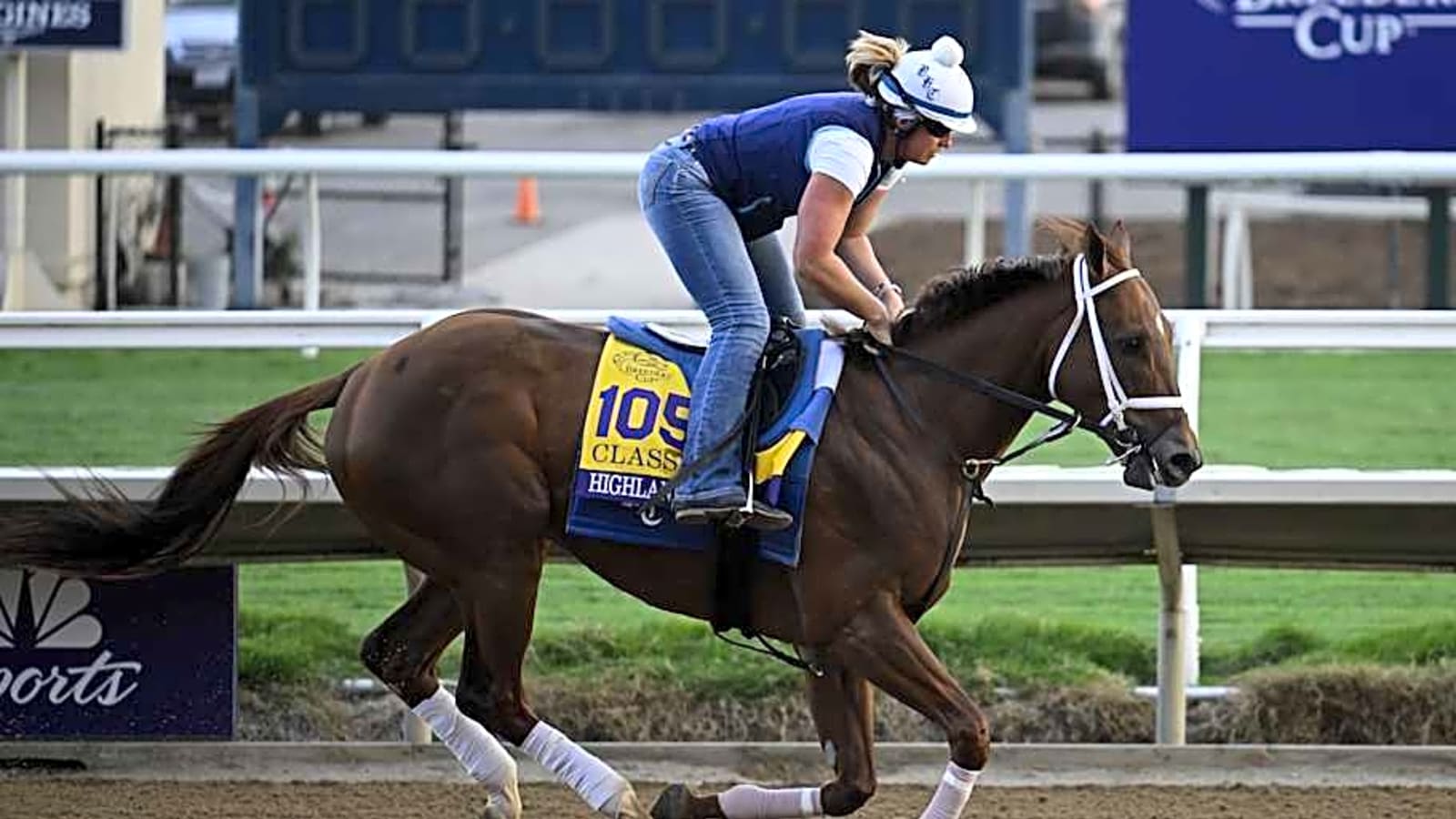Grade 1 Winner Highland Falls Returns to the Races in New York