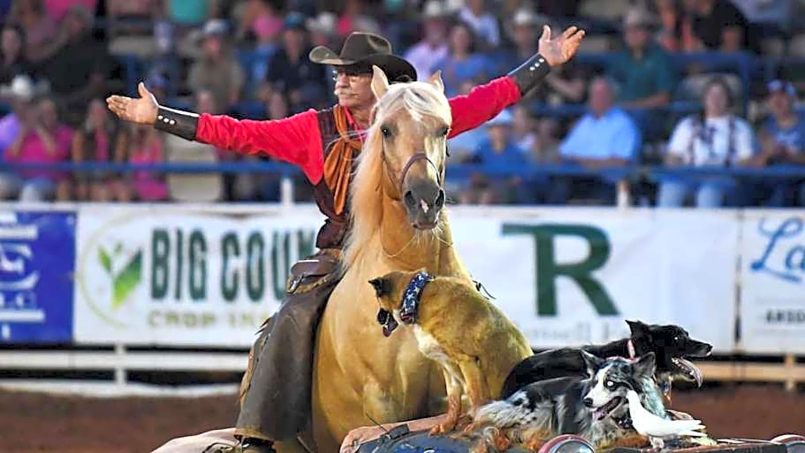 Legendary Mustang Act Bobby Kerr Dies After Brave Fight With Esophageal Cancer