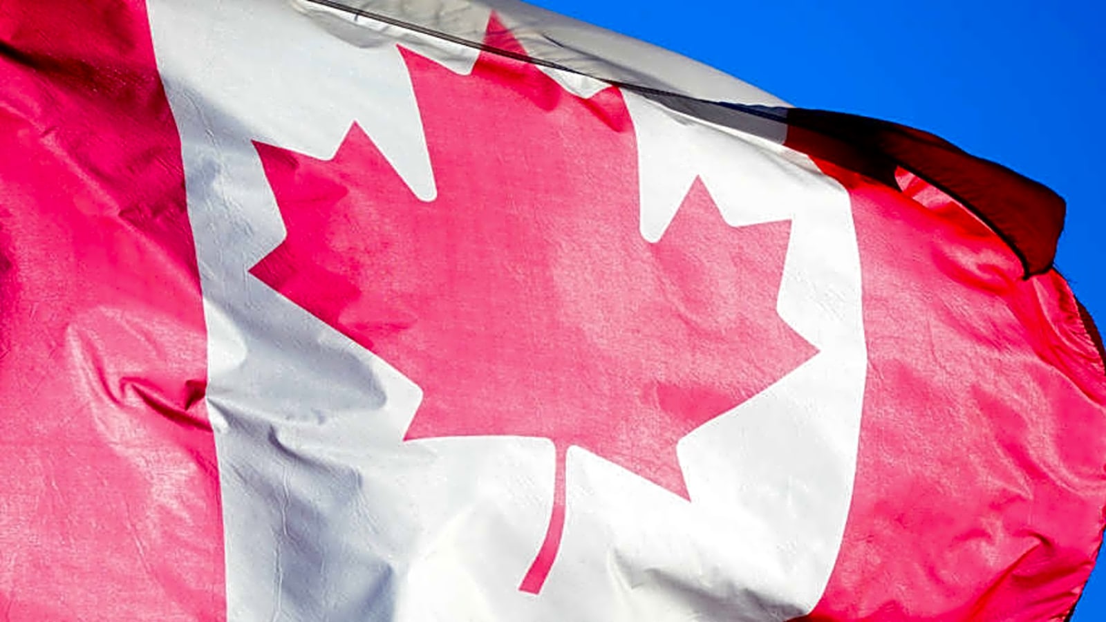 Boise State men’s basketball signee helps Canada place fifth at FIBA U19 World Cup