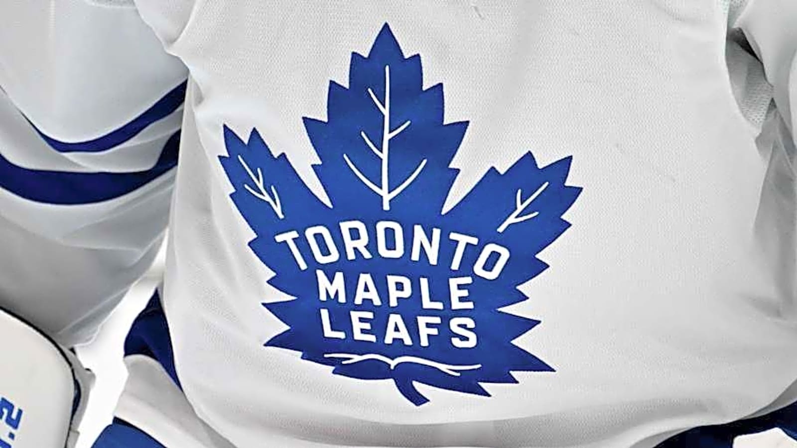 Longtime Maple Leafs Broadcaster To Retire
