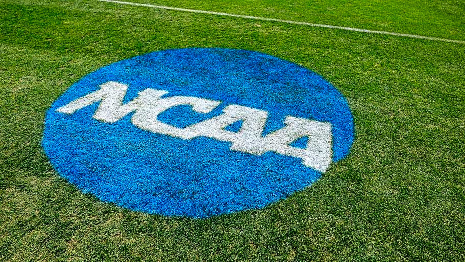 Tampering Allegations Trigger NCAA Investigation Into Top SEC Program