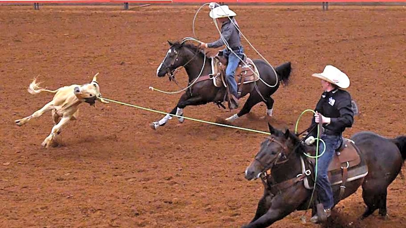 World Series Team Roping Moving Forward Despite Other Cancellations